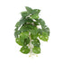 Decorative Artificial Monstera Adansonii Plant in Ceramic Bowl 30cm