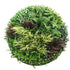 Slimline Artificial Green Wall Disc Art 100cm Grassy Fern UV Resistant (White)