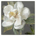 Precious Flower Canvas A 80cm