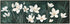Blooming Flower Framed Artwork 150x50cm