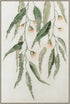 Eucalyptus Framed Artwork 120cm