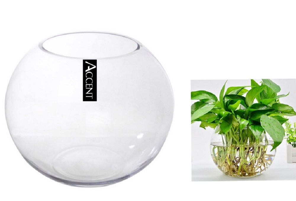 Home & Garden - Collection