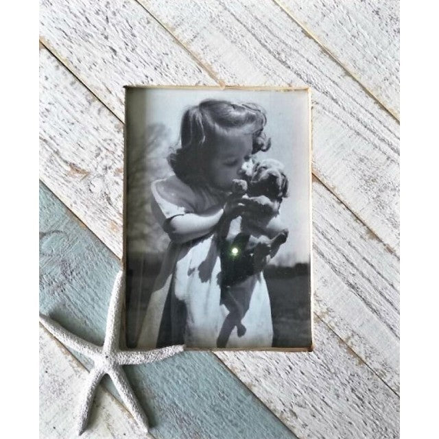 Home & Garden - Collection