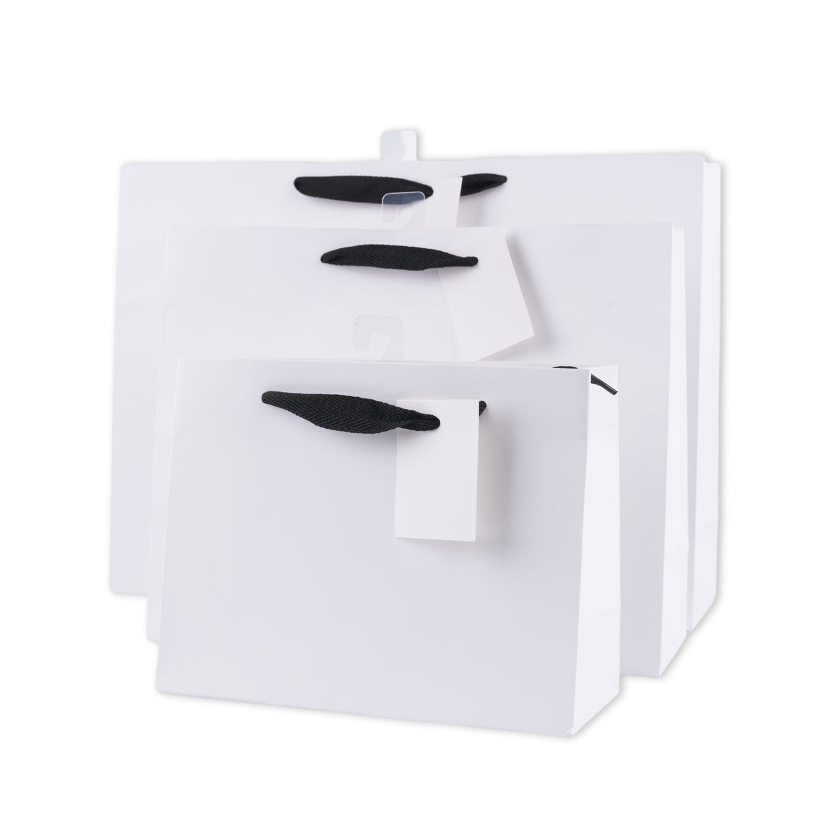 bulk 24 Xlarge Landscape Gift Bags w Handle 31x42cm
