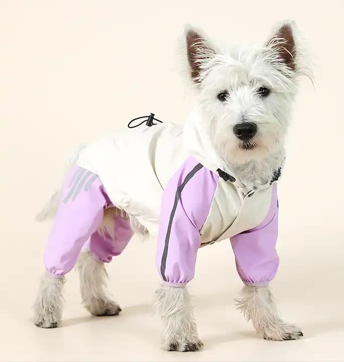 Waterproof Dog Raincoat with Hidden Leash Hole - Windproof and Comfortable for Outdoor Walks, Size:M (Back Length 25cm/9