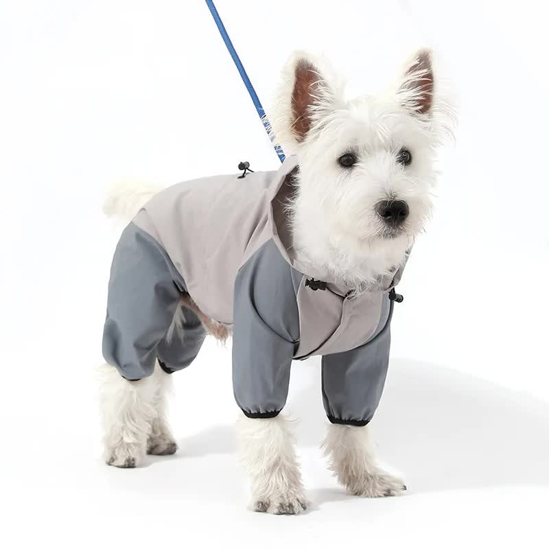 Waterproof Dog Raincoat with Hidden Leash Hole - Windproof and Comfortable for Outdoor Walks, Size:L (Back Length 30cm/1