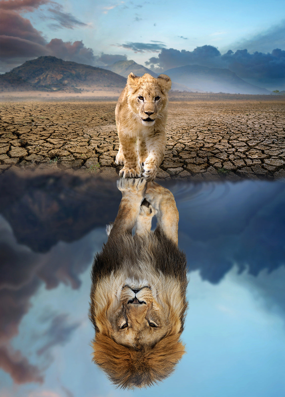 1000 Piece Hot Air Balloon Adventure Jigsaw Puzzle for Adults - Difficult Paper Puzzle for Adults with Beautiful Scenery