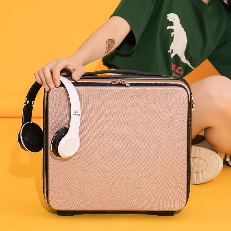 Pink Gray Mini 16-Inch Password-Protected ABS Storage and Carry-On Luggage Box | Front-Opening Cosmetic Organizer | Ligh