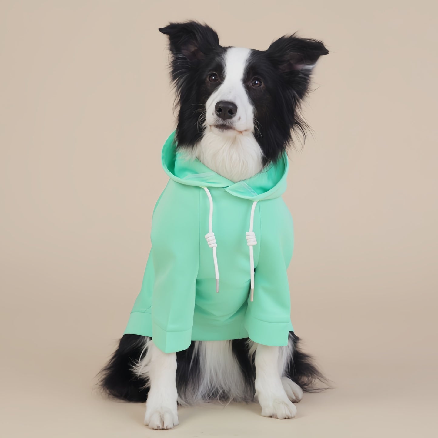 Green Classic Dog Sweatshirt with Hood & Drawstrings - For Large Dogs (Size : 4XL)