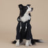 Black Classic Dog Sweatshirt with Hood & Drawstrings - For Large Dogs (Size : 3XL)