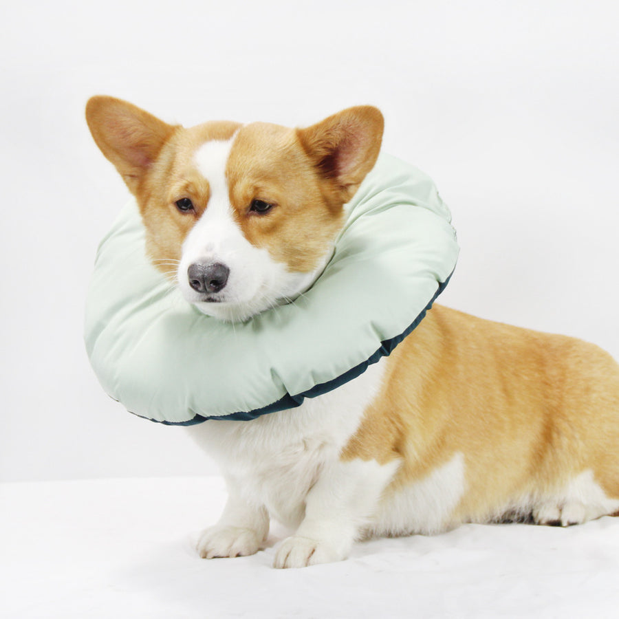 Green Adjustable Soft Elizabethan Collar for Pets - Comfortable Recovery Aid - XL