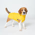 XL Yellow All-Season Pet Raincoat - Waterproof & Dustproof High-Collar Dog Windbreaker for Spring