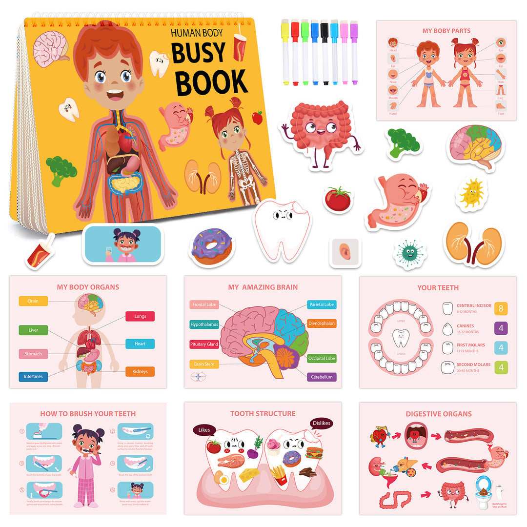 Human Body Busy Book for Kids 15 Pages Educational Activity Book with Stickers and Learning Games for Early Childhood Development in Australia