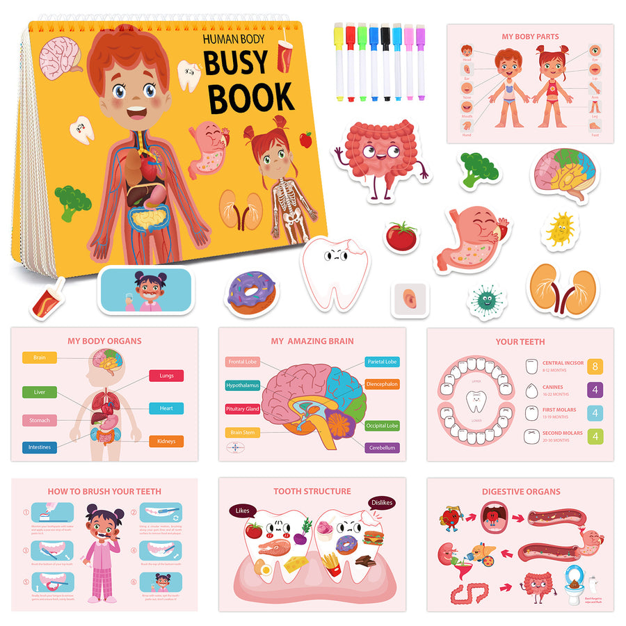 Human Body Busy Book for Kids 15 Pages Educational Activity Book with Stickers and Learning Games for Early Childhood Development in Australia