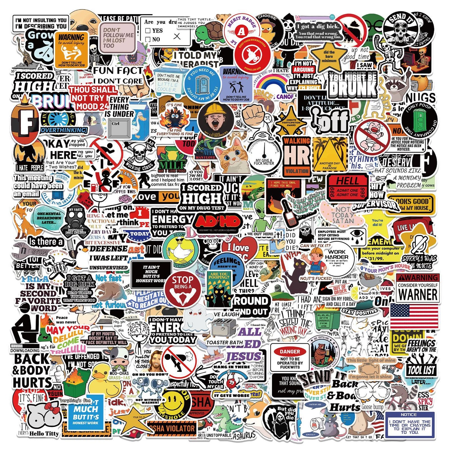 300 Pcs Prank Meme Graffiti Stickers Pack - Waterproof PVC Personalized Decals for Laptop, Luggage, Water Bottle DIY Decoration