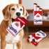 2-Pack Funny Cigarette Box Squeaky Dog Toy - Soft Plush Interactive Molar Toy, Crinkle & Squeak Boredom Breaker