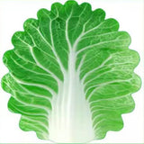 Cute Cabbage-Shaped Fleece Blanket – Fun and Cozy Throw for Naps, Office Use, Air Conditioning, or Baby Swaddling (Green & White)(100cm*100cm)