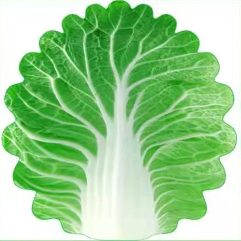 Cute Cabbage-Shaped Fleece Blanket – Fun and Cozy Throw for Naps, Office Use, Air Conditioning, or Baby Swaddling (Green & White)(120cm*120cm)