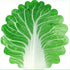 Cute Cabbage-Shaped Fleece Blanket – Fun and Cozy Throw for Naps, Office Use, Air Conditioning, or Baby Swaddling (Green & White)(150cm*150cm)