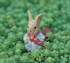 Garden Style Backpack Bunny Succulent Planter Decoration – Cute Rabbit Animal Figurine Resin Craft for Balcony and Pot Plant