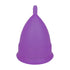 2PCS Reusable Medical Grade Silicone Menstrual Cup(XS Size) & 2PCS Matching Sterilizer Box - Microwave Safe Disinfector Case, Heat Resistant 130°C (Purple Set)
