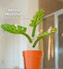 2 Set Mirror-Mount Half-Leaf Monstera Bathroom Organizer (Vase + 3 Leaves) - Decorative Home Vanity Set