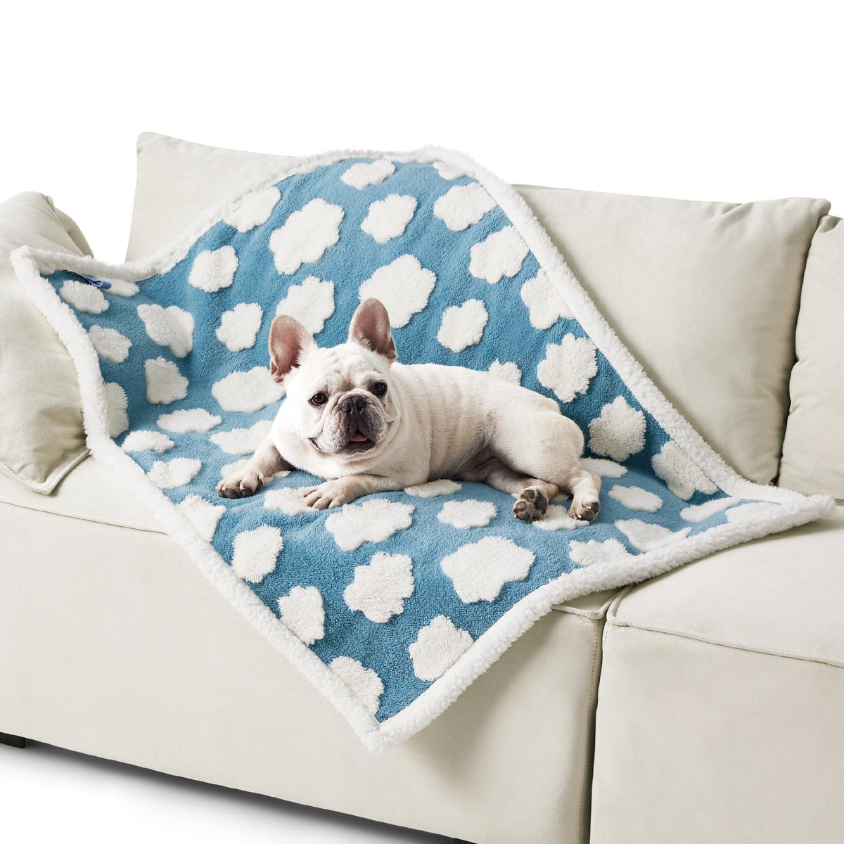 100 x 130 CM Waterproof Soft Sherpa Fleece Pet Blanket (Blue Sky & Clouds) - Reversible Thickened Furniture Protector for Dogs & Cats