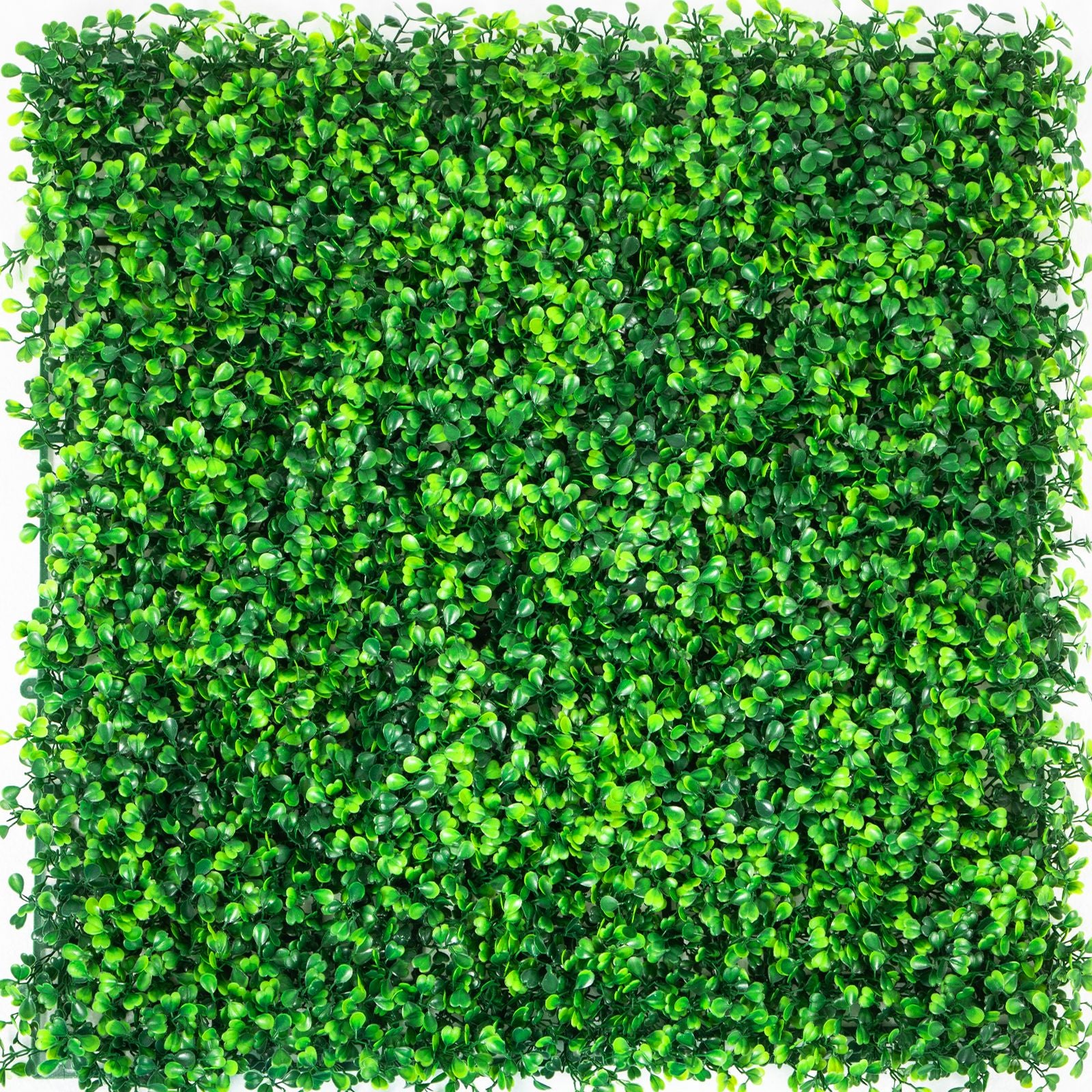 Artificial Boxwood Panels, 12 PCS 20"x20" Boxwood Hedge Wall Panels, PE Artificial Grass Backdrop Wall 1.6\", Privacy Hedge Screen for Decoration of Outdoor, Indoor, Garden, Fence, and Backyar