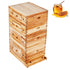 Bee Hive 40 Frame Bee Hives Starter Kit, Beeswax Coated Cedar Wood, 2 Deep + 2 Medium Bee Boxes Langstroth Beehive Kit, Transparent Acrylic Windows with Foundations for Beginners Pro Beekeepers