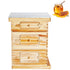 Bee Hive 30 Frame Bee Hives Starter Kit, Beeswax Coated Fir Wood, 2 Deep + 1 Medium Bee Boxes Langstroth Beehive Kit, Transparent Acrylic Windows with Foundations for Beginners Pro Beekeepers
