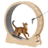 Cat Exercise Wheel, 120cm Wooden Cat Running Wheel for Indoor Cats up to 12.7kg Cats Treadmill with Carpeted Runway & Locking Mechanism, Quiet Roller Kitten Sport Toys for Pets Fitness & Health