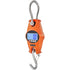 Digital Crane Scale, 660 lbs/300 kg, Industrial Heavy Duty Hanging Scale with Cast Aluminum Case & LCD Screen, Handheld Mini Crane with Hooks for Farm, Hunting, Fishing, Outdoor, Garage (Orange)