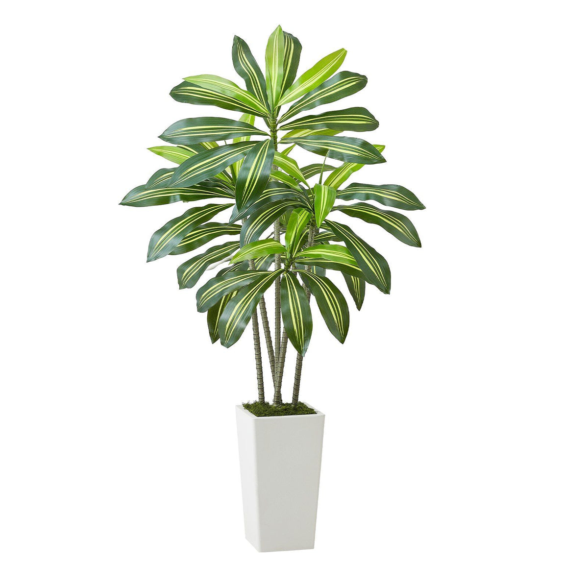 Artificial Dracaena Tree 1524 mm, Fake Palm Tropical Plants with White Tall Planter, Faux Floor Silk Plant in Pot, Large Trees for Home Office Living Room Decor House Warming, Indoor Outdoor