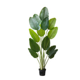 Artificial Bird of Paradise 1829 mm Tall, Fake Tropical Plants with with 13 Trunks & White Pot, Faux Floor Silk Tree, Large Trees for Home Office Living Room Decor House Warming, Indoor Outdoor