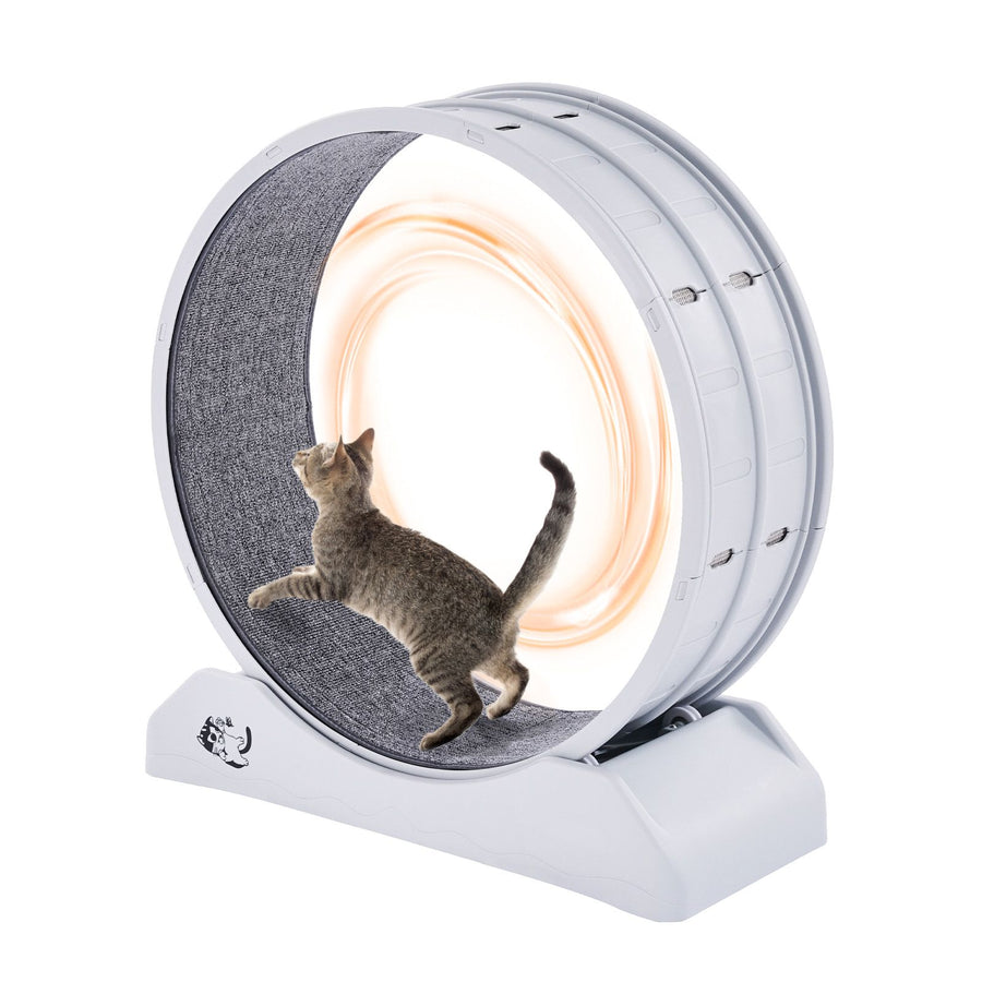 Cat Exercise Wheel, 31.5 in, Large Cat Running Wheel with Secure Brake & Carpeted Runway, Quiet Operation Cat Treadmill, Indoor Cats Exerciser Wheel for Pets Weight Loss & Health White