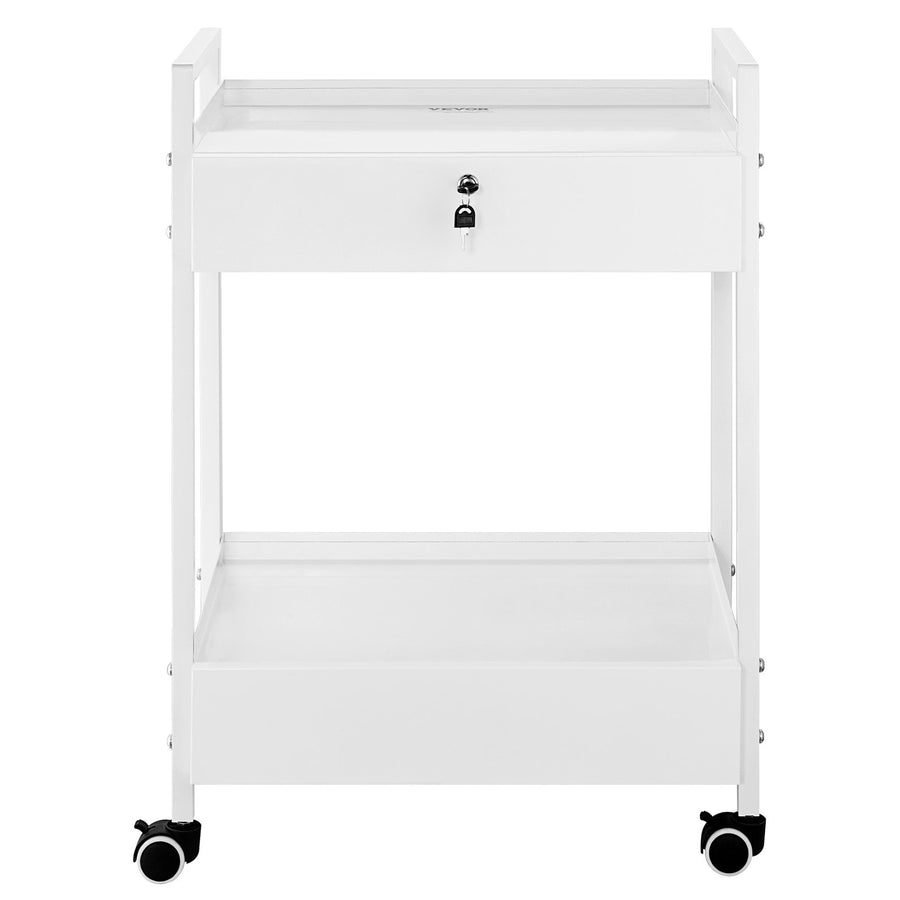VEVOR Lab Cart, 2 Tiers Stainless Steel Utility Cart, Medical Cart with 2 Drawers, Rolling Lab Cart White Paint, Serving Cart with Swivel Casters for Laboratory, Hospital, Dental, Salon and Beauty