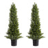 Artificial Topiary Cedar Trees, 2 Set 914mm Faux Pine Shrubs Plants, Fake Silk Tree Look Real, Easy Assembly for Decor Front Porch Outdoor Patio Garden Balcony Backyard Indoor Office
