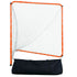 Lacrosse Goal, 6&