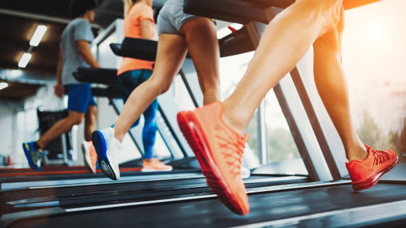 Sports & Fitness