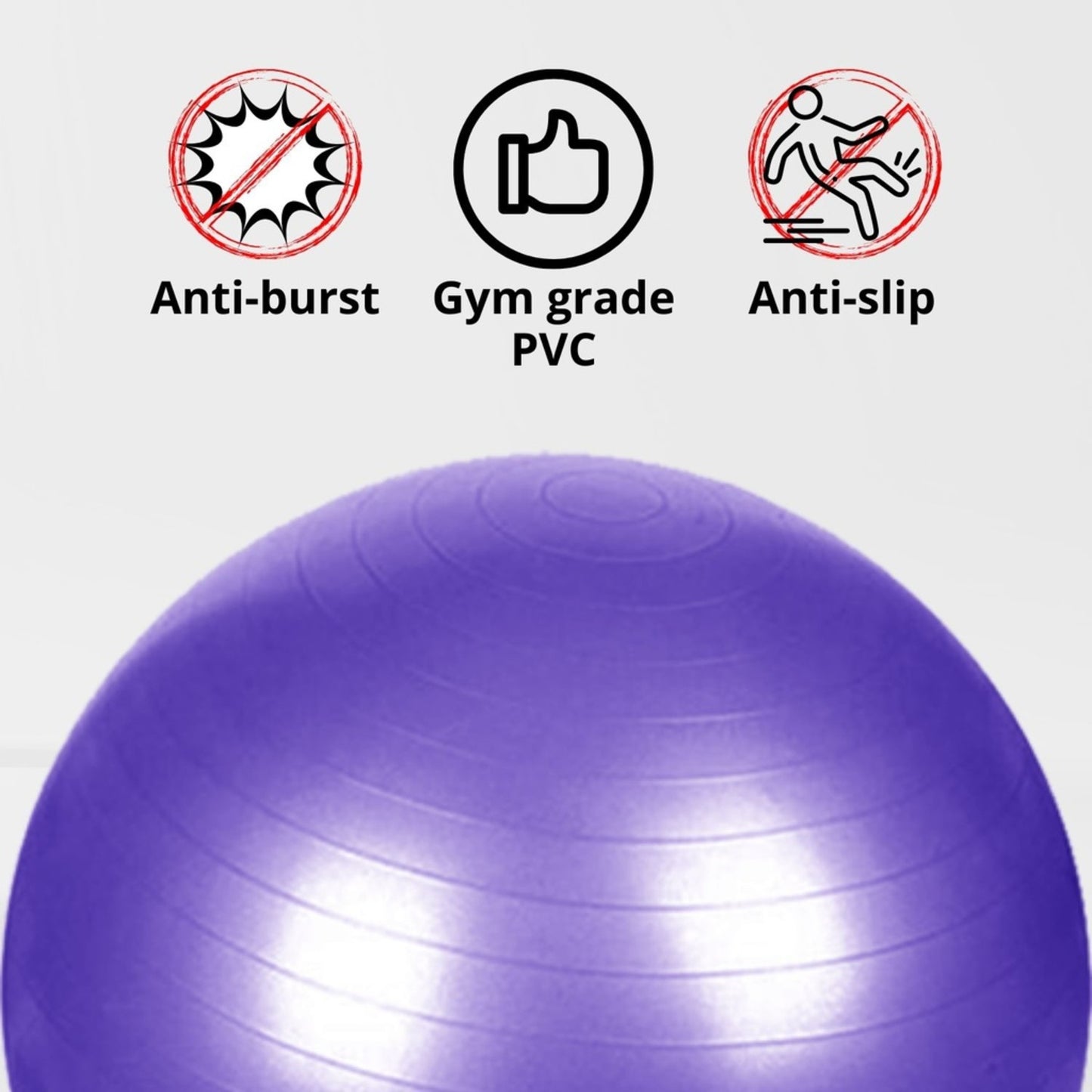 Verpeak Yoga Ball 65cm (Purple) FT-YB-104-SD