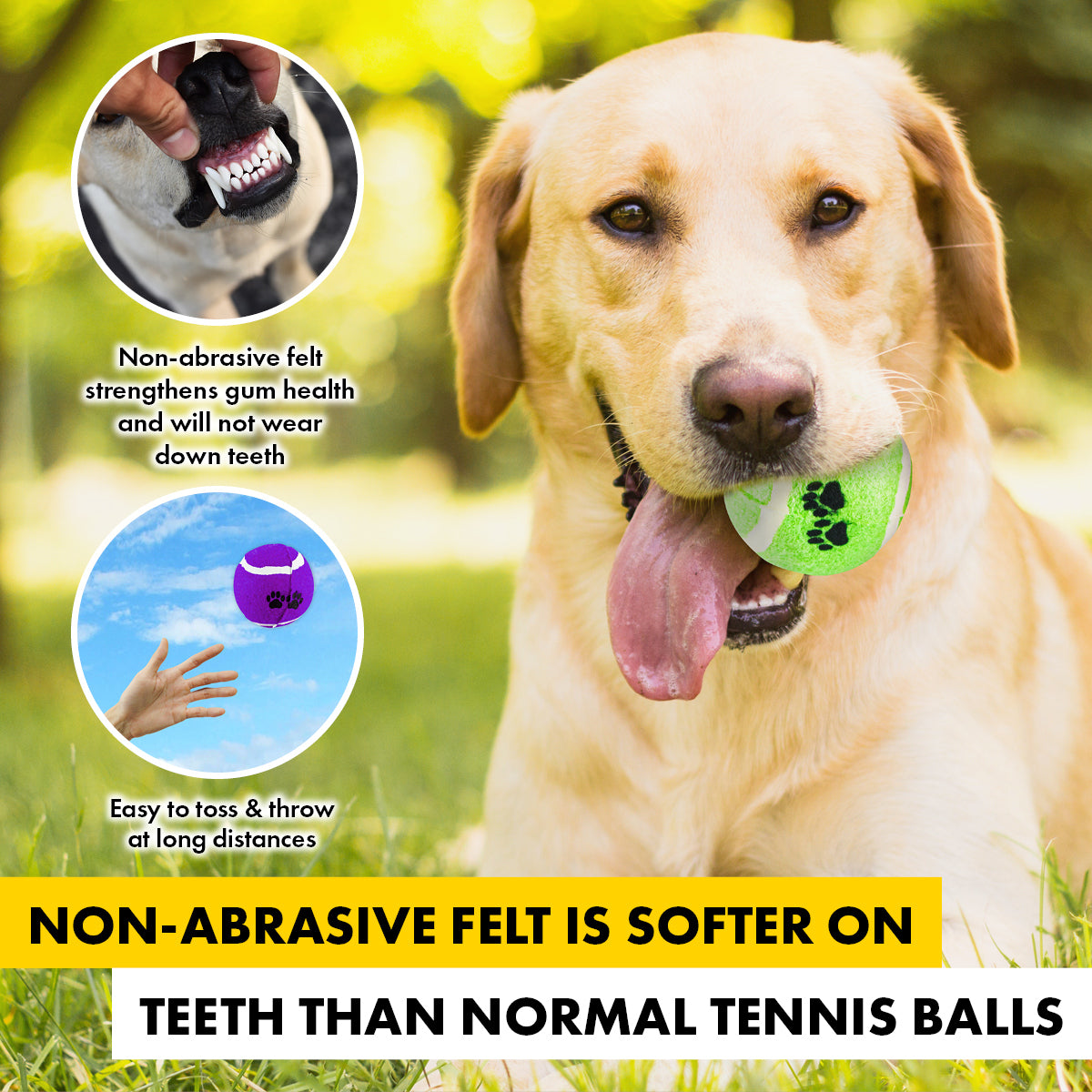 Pet Basic 72PCE Tennis Balls Brightly Coloured Paw Print Design Fetch 6cm