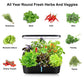 Hydroponics Growing System Indoor Germination Kit 12 Pods Home Gardening LED